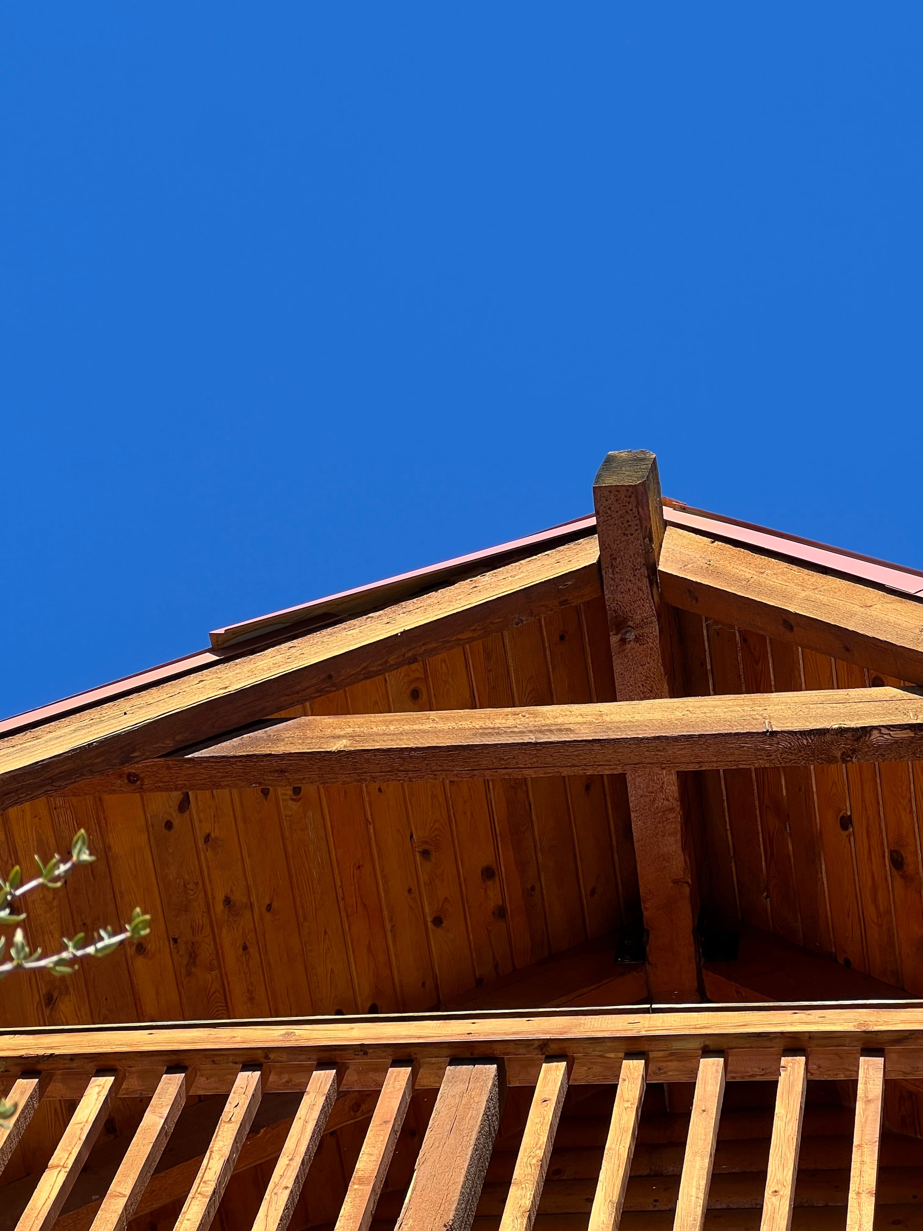 Roofline inspection for bat entry points